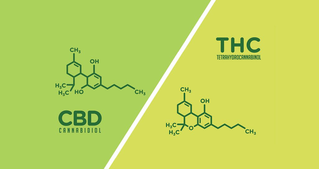 dpsstatesboro's tweet photo. THC has awesome therapeutic properties. Scientists at the Scripps Research Center in San Diego reported that THCinhibits an enzyme implicated in the formation of  amyloid beta plaque, the hallmark of Alzheimer’s-related dementia. The federal government recognizes single-molecule https://t.co/HJYUcuQWpL