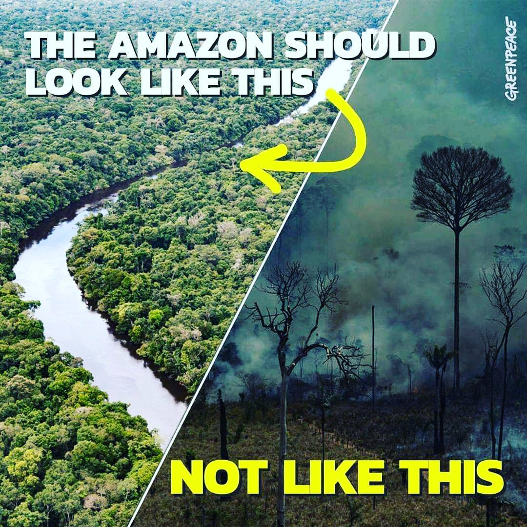 Rajyuvan7's tweet photo. #SaveAmazon nearly thousands of man made fires are still raging and on going Humans are awful... https://t.co/GRspzb4Igl