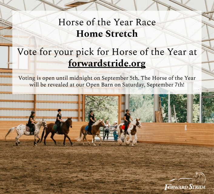 ForwardStride's tweet photo. We have entered the Home Stretch in our Horse of the Year Race! Help us pick the next Horse of the Year by voting at the link below: one vote per email!
https://t.co/La3fN2RdxU
#forwardstride #nonprofit #therapyhorses https://t.co/2vykK6SjxS