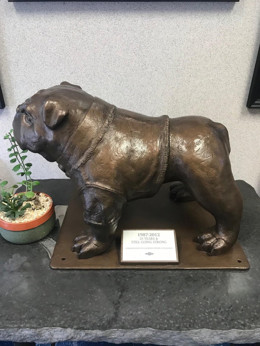 Darby the <a href="/MasterWallInc/">Master Wall Inc.</a> mascot!