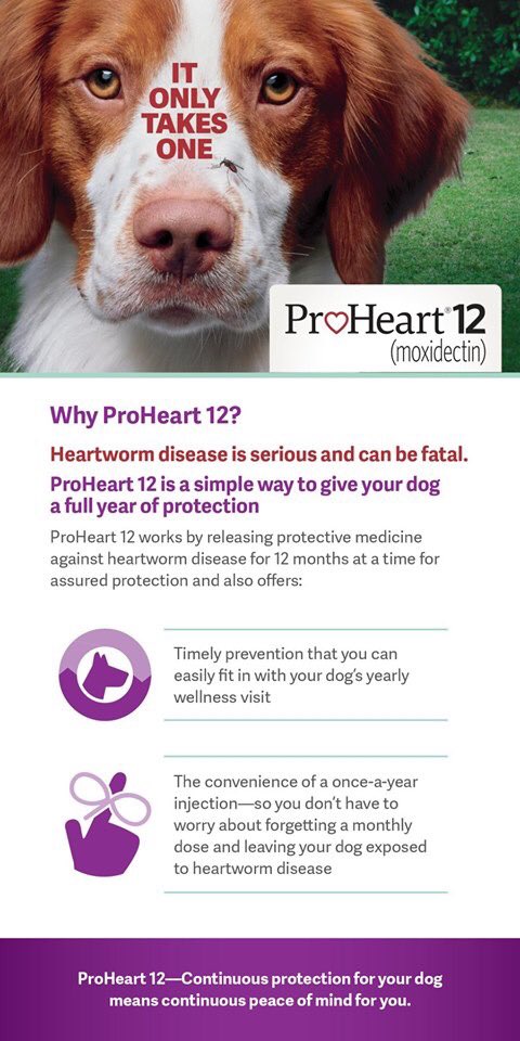 NSAHVet's tweet image. We now carry ProHeart 12! Get 12 months of Heartworm protection with ONE injection. No need to remember to give a monthly chewable. (Since the weight change in puppies can be drastic, dogs must be 12 months or older for this injection.) #proheart @Zoetis