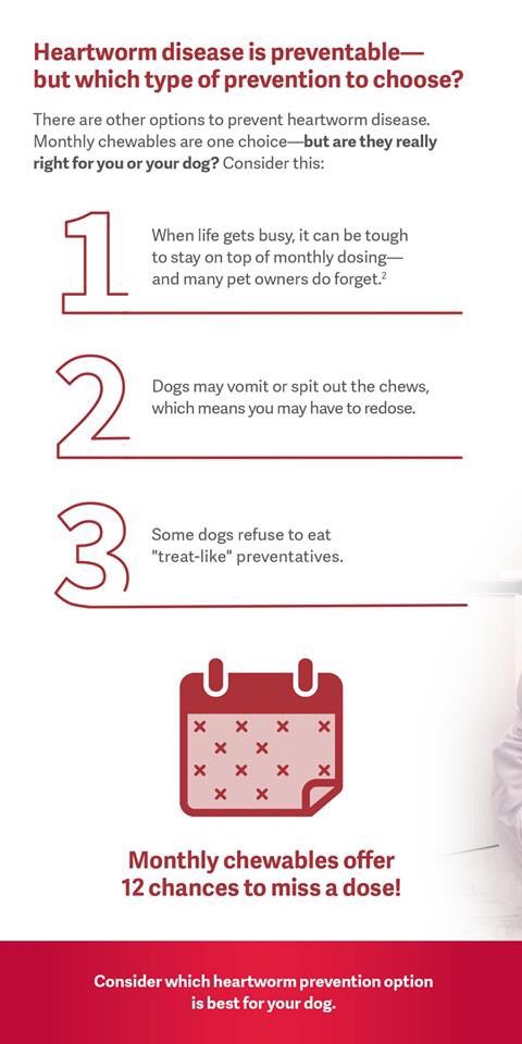 NSAHVet's tweet image. We now carry ProHeart 12! Get 12 months of Heartworm protection with ONE injection. No need to remember to give a monthly chewable. (Since the weight change in puppies can be drastic, dogs must be 12 months or older for this injection.) #proheart @Zoetis