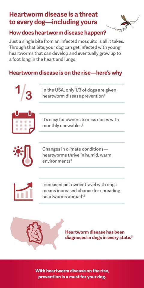 NSAHVet's tweet image. We now carry ProHeart 12! Get 12 months of Heartworm protection with ONE injection. No need to remember to give a monthly chewable. (Since the weight change in puppies can be drastic, dogs must be 12 months or older for this injection.) #proheart @Zoetis