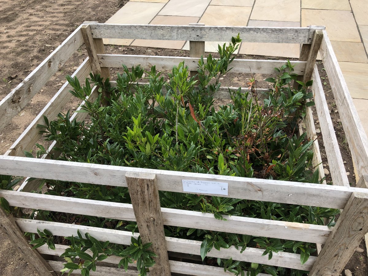 CitadelHomes's tweet photo. All ready to add to the planting at The Dell in #Talkin...and plenty of space for them to flourish in on our generous-sized plots around all six luxury homes.
https://t.co/oUYnqq5P6A https://t.co/UTI6UERCtN