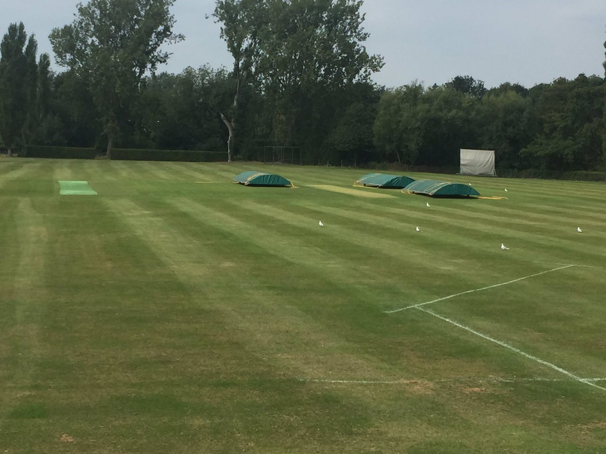 GaryCurtis18's tweet photo. WOW ☔️ that escalated quickly 😂 @WCCSCC https://t.co/1NXwvYXSqA