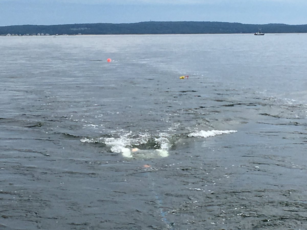 USGSCoastChange's tweet photo. #CapeCodBay2019 Subbottom/seismic systems allow us to "see" whats underneath the #seafloor. All the instruments on the cruise use sound to map the seafloor. The calmer the sea, the more consistently sound can be transmitted/received by the instruments. Flatter water= Better data! https://t.co/pCZbsuzkN7