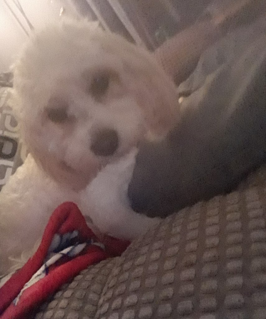 Nug-Life tweet media