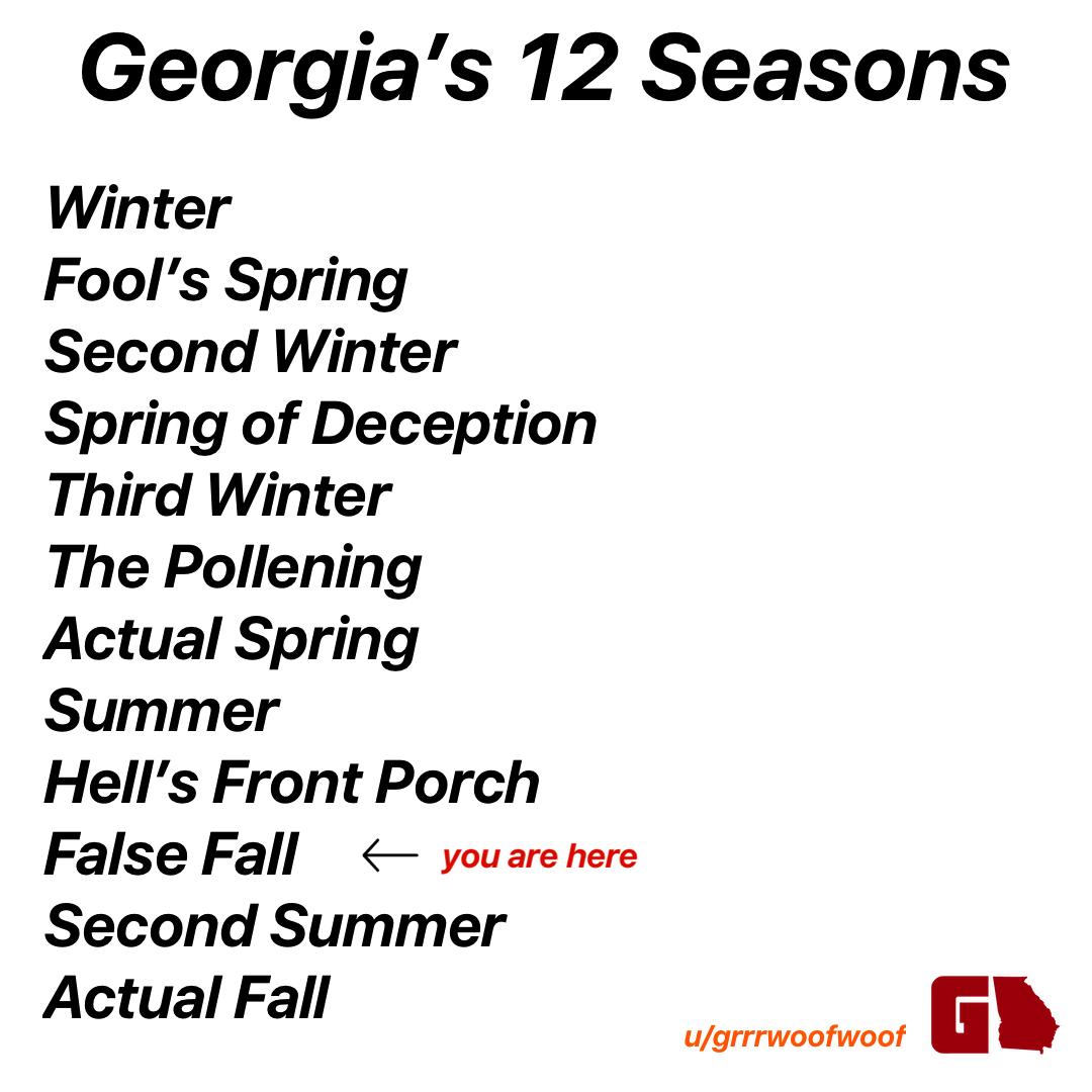 Everything Georgia on X: GEORGIA'S 12 SEASONS 😂😂😂😂   / X