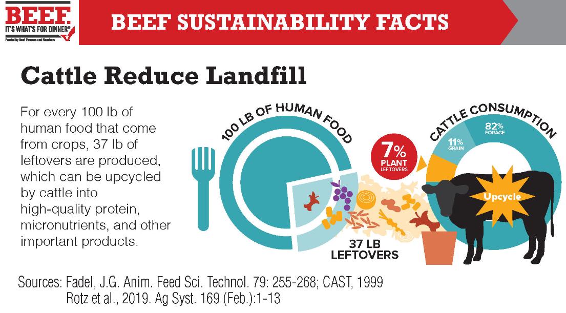 drsplace's tweet photo. Livestock are a key way for us to upcycle what would be waste - all the leftovers from processing plants into things we like to eat. So, whether you eat their products or not, you do likely depend on livestock (this goes for "plant based" companies too, not just eaters). https://t.co/iA5uL8lJ3q