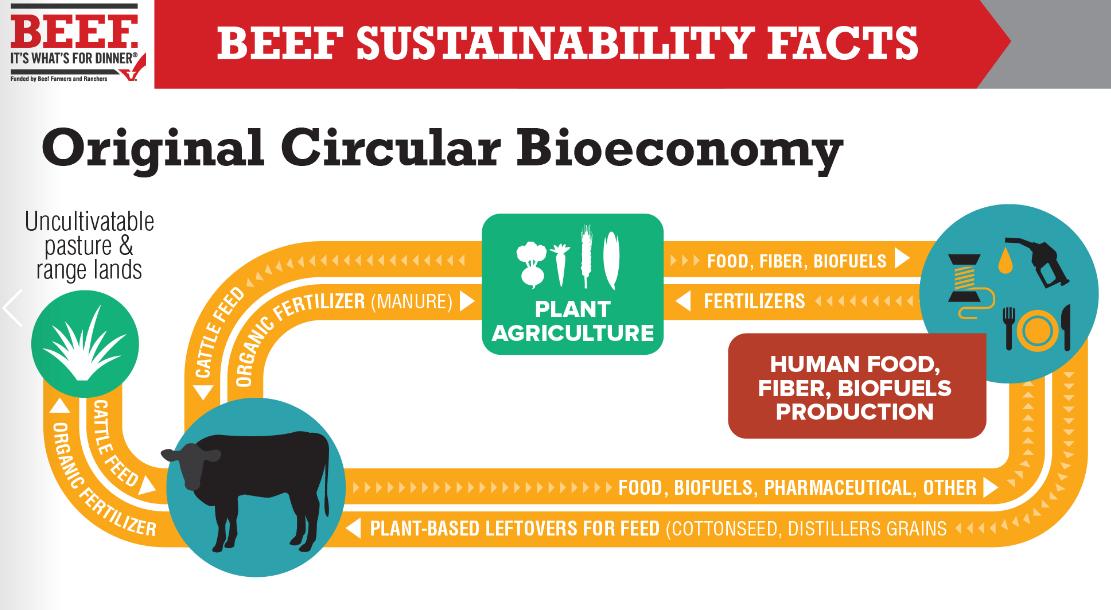 drsplace's tweet photo. We should be more focused on how we can strengthen these ties between animal &amp; plant agriculture &amp; food production - how can we best use energy ☀️in this system &amp; nutrients? Plants depend on animals, animals depend on plants, they both depend on soil &amp; we depend on the whole lot https://t.co/HWFK6vfDbv