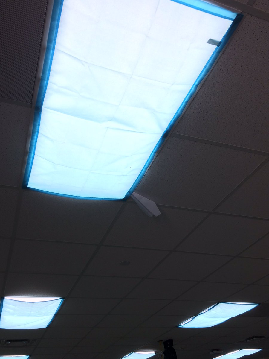 Erin Wise tweet media