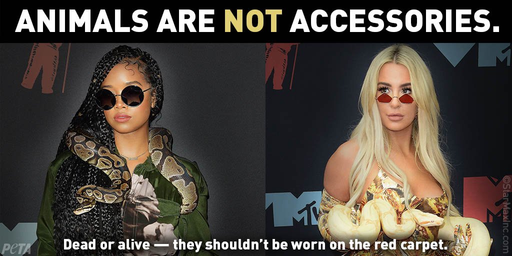 ATTENTION <a href="/tanamongeau/">Tana Mongeau</a> <a href="/HERMusicx/">H.E.R.</a>:

Snakes don't deserve to be put through the stress of confinement, bright lights, and loud noises just for clout. #VMAs