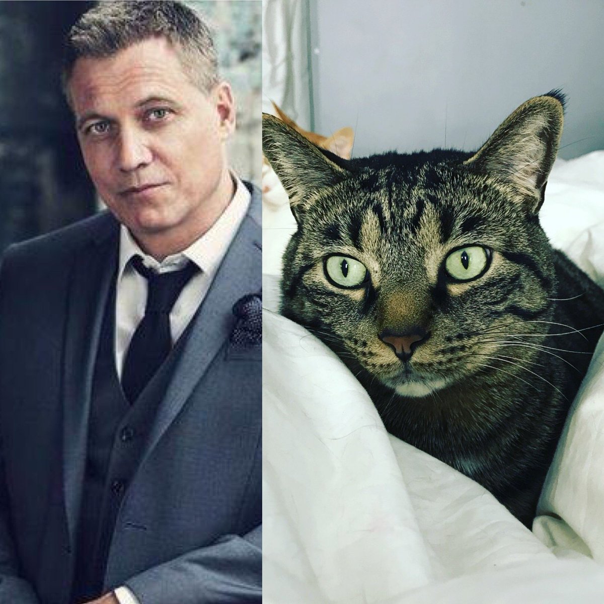 's tweet image. I think Holt McCallany would make an excellent Gary.  #CatCasting