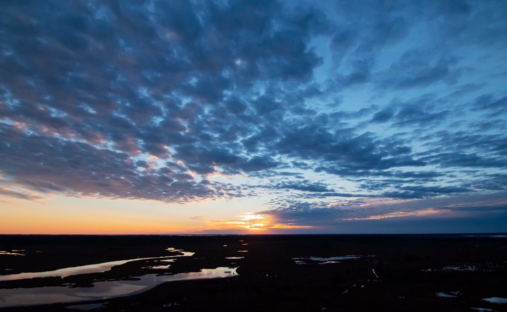 wboc's tweet photo. From #Chopper16: The Blackwater National Wildlife Refuge in Dorchester County as the sun sets >> https://t.co/XClrlzQABN