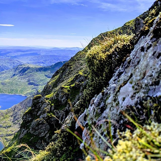 Declan Jones tweet media