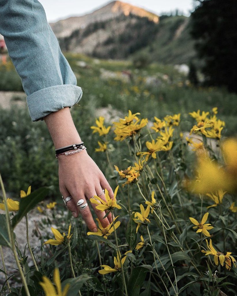 AltaSkiArea's tweet photo. Today we’re featuring a collection of snaps from you, the people ✨ Thanks for tagging @altaskiarea and spreading #AltaMagic

#AltaSummer #87Days https://t.co/Ocfnz6HGkr