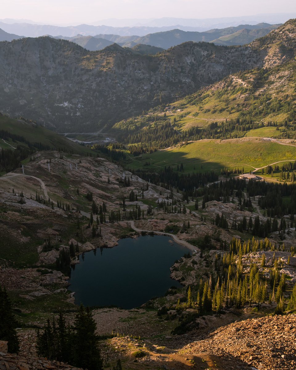 AltaSkiArea's tweet photo. Today we’re featuring a collection of snaps from you, the people ✨ Thanks for tagging @altaskiarea and spreading #AltaMagic

#AltaSummer #87Days https://t.co/Ocfnz6HGkr