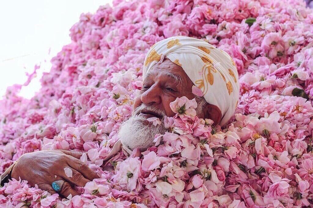 Mkktarat's tweet photo. "وكأنك تأخذ الورد شهيقًا وتخرج العطر زفيرًا".🌸 https://t.co/GDxCwXyizK