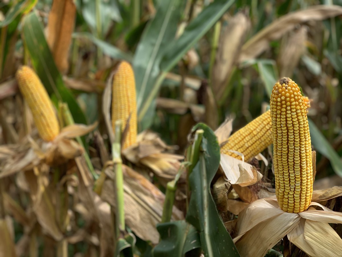 Chris Cooper tweet media