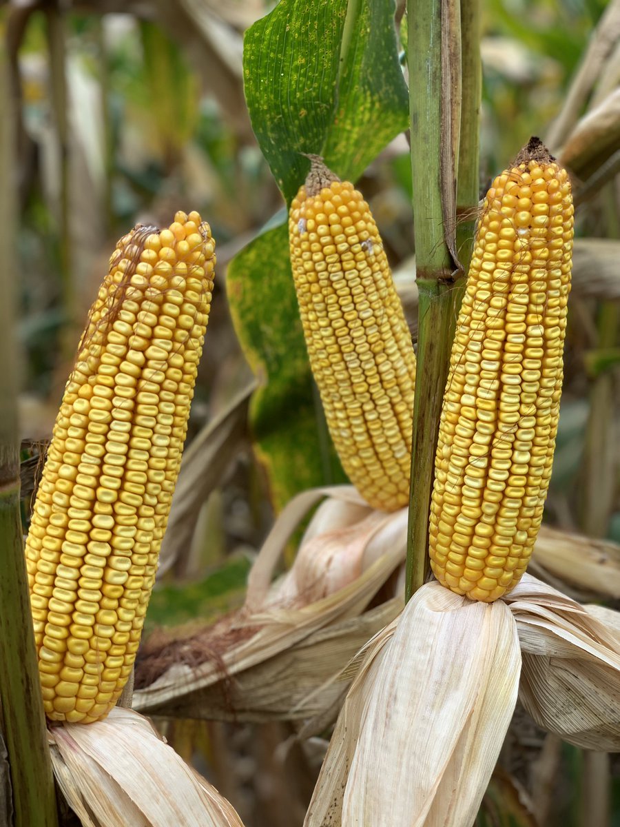 Chris Cooper tweet media