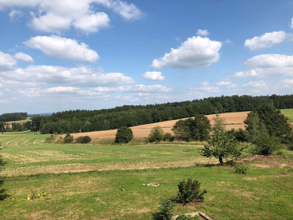 GaiaList tweet media