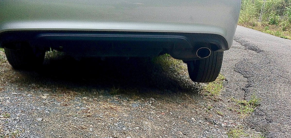 Cylearian-Official tweet media