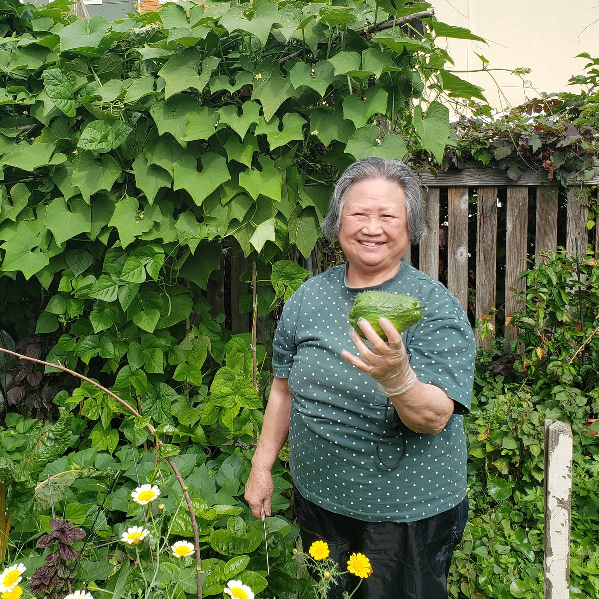 Smiling woman in garden, holding chayote
