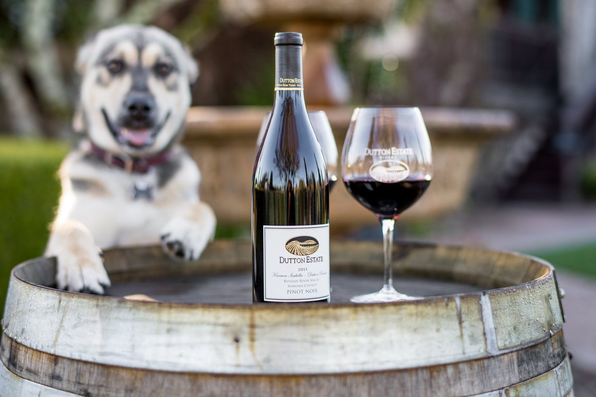 DuttonEstate's tweet photo. All Labor Day Weekend, we are open, 10am-5pm! Visit and enjoy Karmen's Sweet Birthday Weekend...

https://t.co/mcqSd3V6SJ

#winerydog #laborday2019 #winecountry #winetasting #sipdutton #familywinery #NationalDogDay2019 https://t.co/BL8HBdIVmT