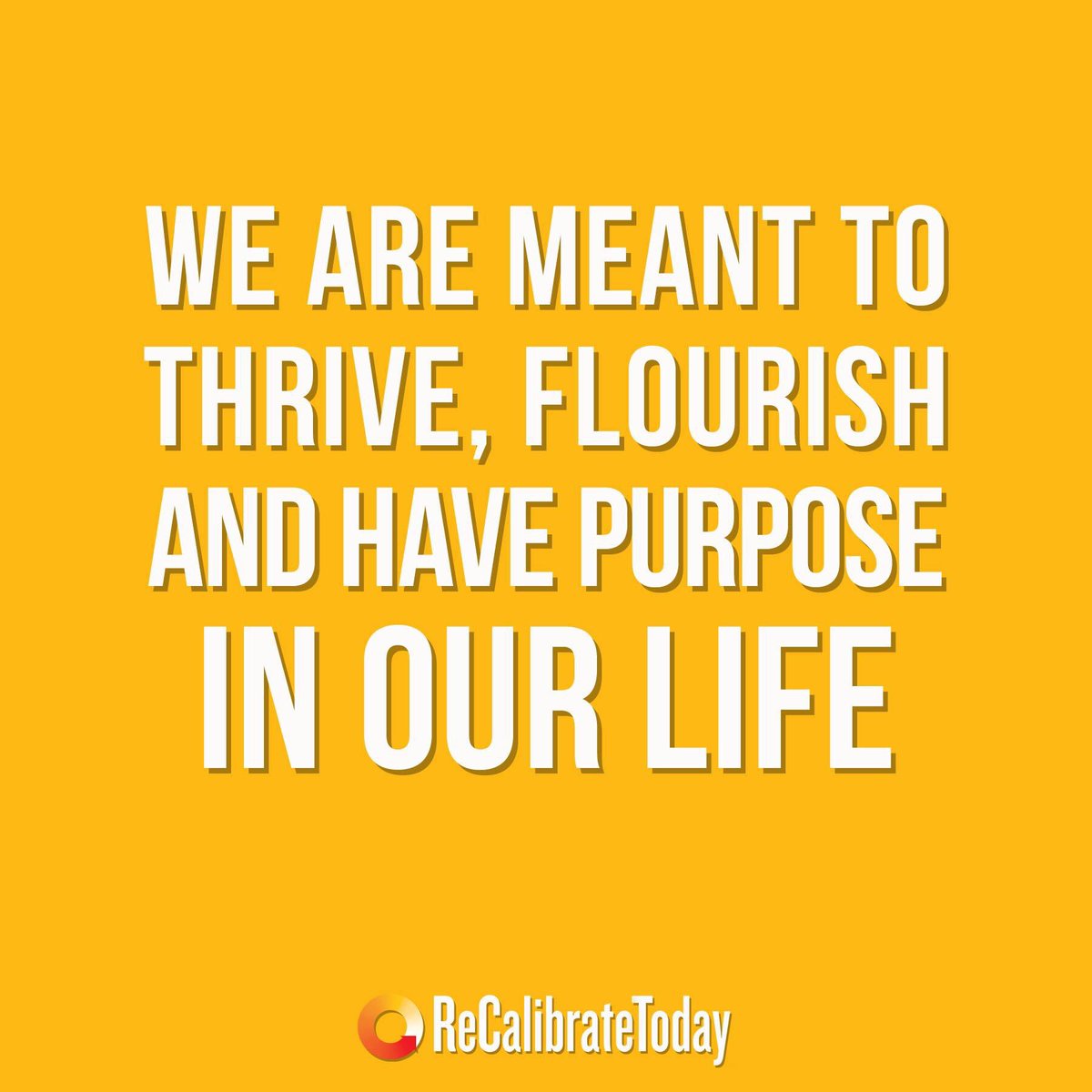 ReCalibrateTDY's tweet photo. When we are able to clearly, purposefully and with full intent make the NEXT right choice; we are setting up ourselves up to succeed and THRIVE.

The choice is yours.

💥Join Us ReCalibrate Today  |  https://t.co/oPyQfYdHAn 💥

#TransformationTuesday #ReCalibratingtoYourNEXT https://t.co/Z0JvjaxuQ9