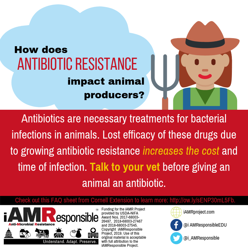 i_AMResponsible's tweet photo. Growing #AntibioticResistance impacts us all and we all have a part to play in reducing #AMR. Just like humans, animals (livestock &amp; pets) do not always receive the right antibiotic treatment. Always talk to a vet or doctor before using antibiotics. https://t.co/xxkxiwtxDe https://t.co/P0GQPu8Or2