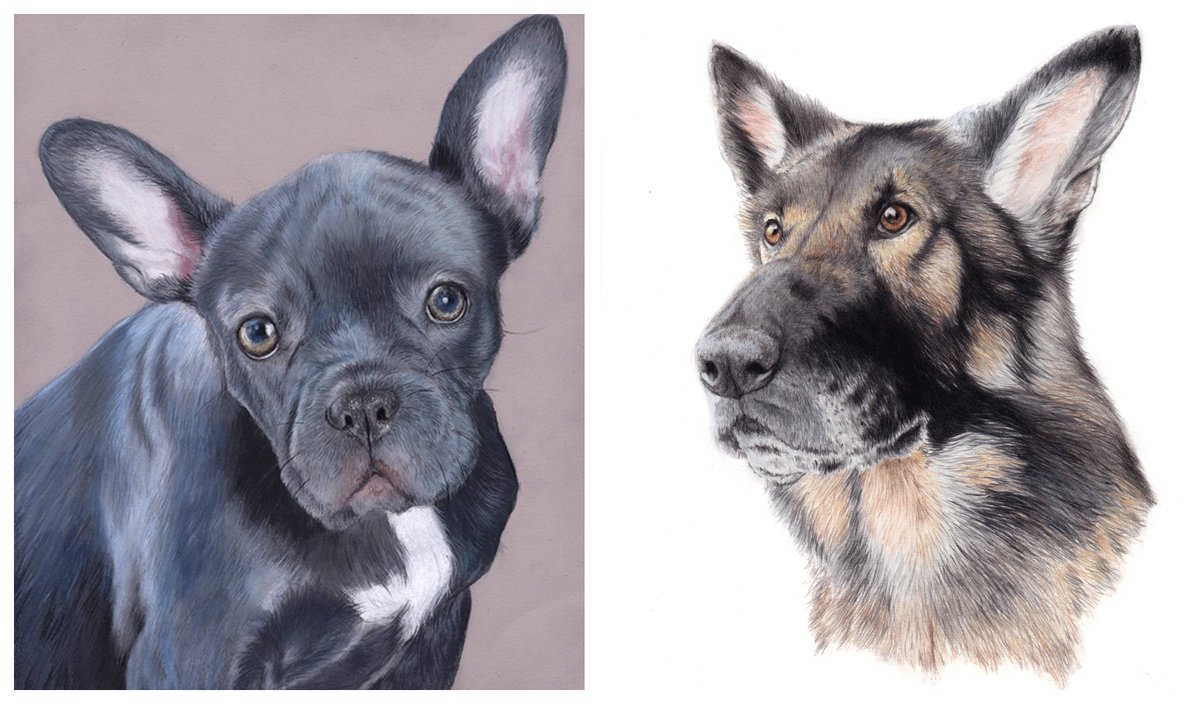 HamiltonLibrary's tweet photo. Unleash your inner artist at the upcoming Pet Portraiture program to express your furry friends in graphite. Register today for the four-week sessions at #HPLCentral, #HPLDundas, #HPLRedHill and #HPLWaterdown. https://t.co/O9pHzSYBF4 https://t.co/FfxVLOR4Gu
