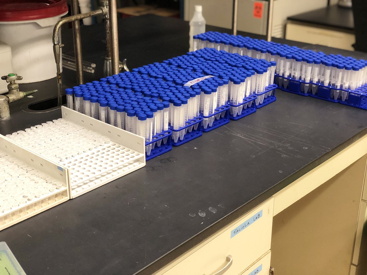 RumenScience's tweet photo. ORGANIZATION, DEDICATION, and HARD WORK: three of the best qualities a great professional can have. 

Lucky to have such of excellent interns. Thanks Erin, Emory, Aneesa, Takoha, and Brooke for your hard work! 🔝🐊🐄🔷🔶 #faciolalab #womenpower #UF_IFAS #UF_explore #UF #gogators https://t.co/VXj44E40zR
