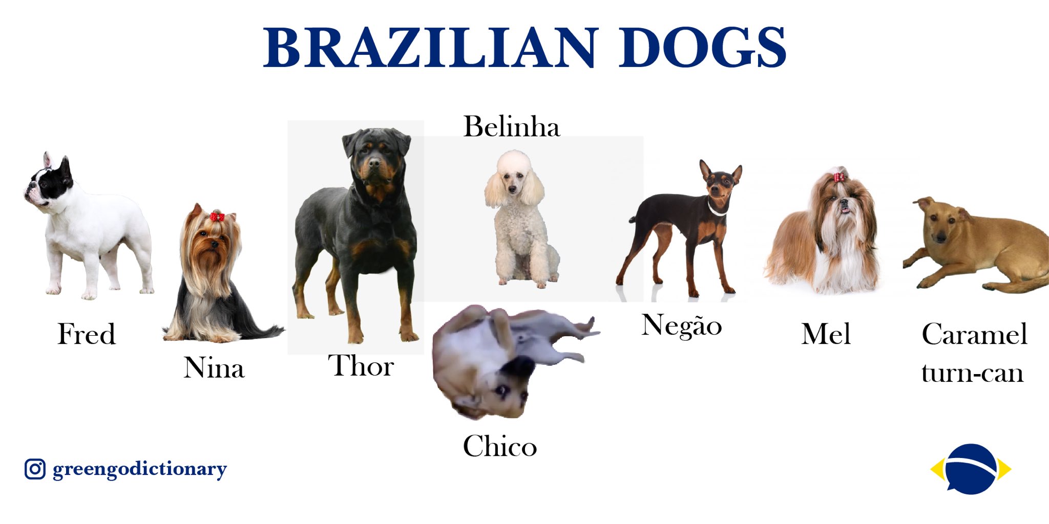brazilian dog breeds