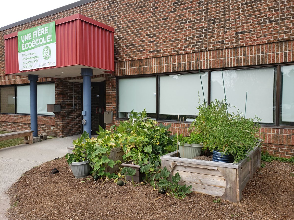 Danielle Chatelain tweet media