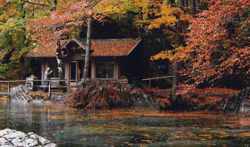 Ahmed Alali tweet media