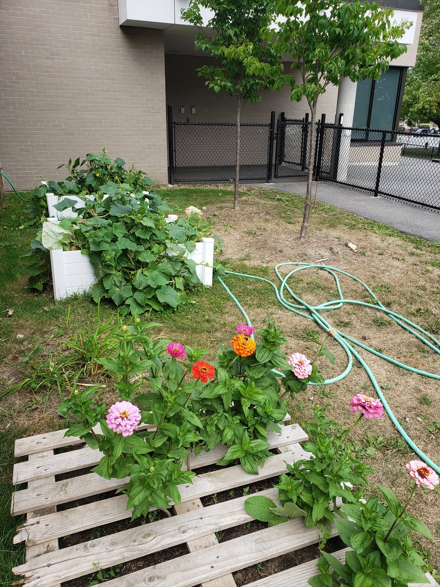 Danielle Chatelain tweet media