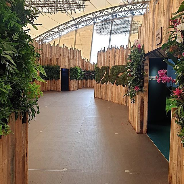 SomersetWood's tweet photo. We delivered almost 4000 pallet slats for the Eden Project Earth Story exhibition....and this is what they did with them....!
#communitywoodrecycling #socialenterprise #edenproject #northsomersetlife https://t.co/3fr71Uxq9F