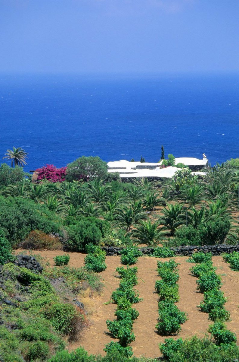 CasaLettori's tweet photo. Domani continueremo con il gioco letterario artistico e fotografico 

#BricioleDAgostoCon a #CasaLettori 

Pantelleria

Qualche RT? Grazie https://t.co/VSEMT17nRV