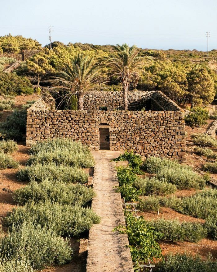 CasaLettori's tweet photo. Domani continueremo con il gioco letterario artistico e fotografico 

#BricioleDAgostoCon a #CasaLettori 

Pantelleria

Qualche RT? Grazie https://t.co/VSEMT17nRV