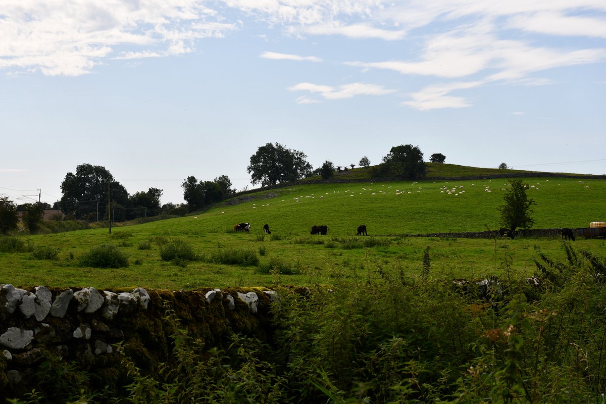 Redbirdcreation's tweet photo. Blue skies and country lanes #Hincaster #Cumbria #photography #countryside @FeatureCumbria @ThePhotoHour @ExpSouthLakes @BBCCountryfile https://t.co/F5DUF26tSS