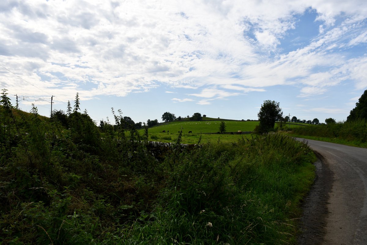 Redbirdcreation's tweet photo. Blue skies and country lanes #Hincaster #Cumbria #photography #countryside @FeatureCumbria @ThePhotoHour @ExpSouthLakes @BBCCountryfile https://t.co/F5DUF26tSS