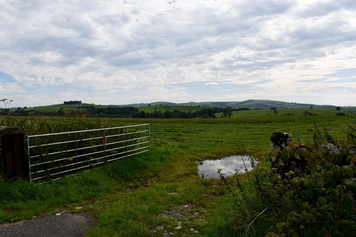 Redbirdcreation's tweet photo. Blue skies and country lanes #Hincaster #Cumbria #photography #countryside @FeatureCumbria @ThePhotoHour @ExpSouthLakes @BBCCountryfile https://t.co/F5DUF26tSS