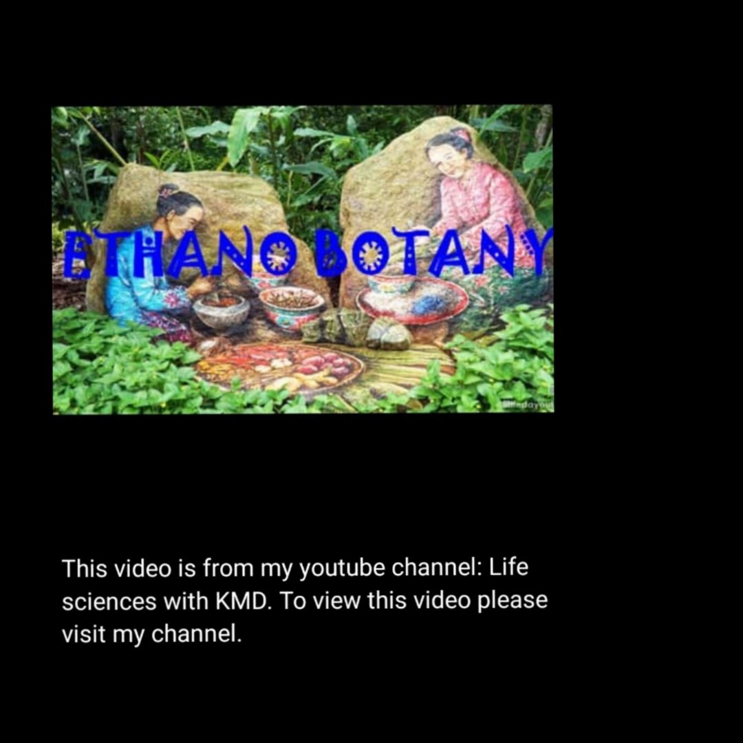 KmdWith's tweet image. 