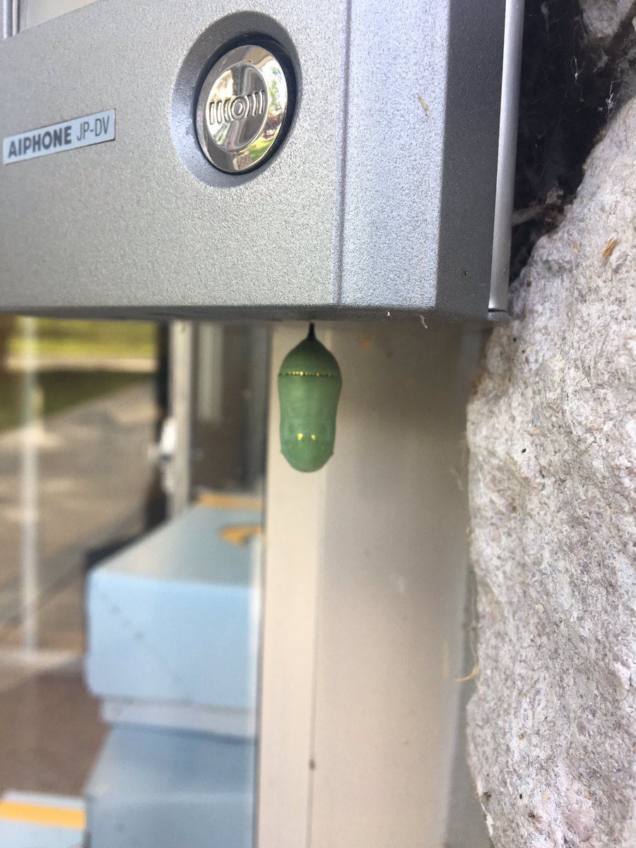 CWCJefferson's tweet image. 