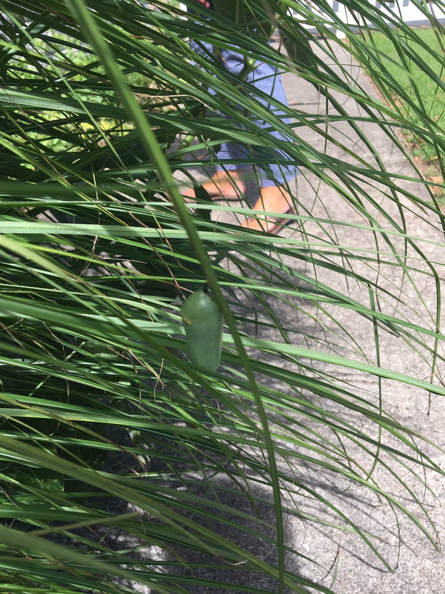 CWCJefferson's tweet image. 