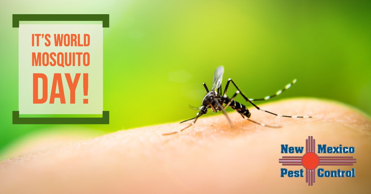 Break out the bug spray! It's World Mosquito Day! #mosquitoday #pestcontrol

newmexicopestcontrol.com
