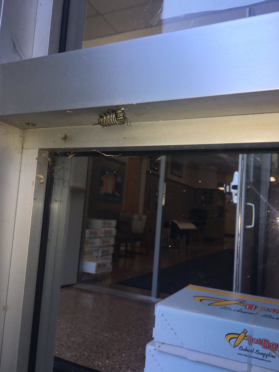 CWCJefferson's tweet image. 