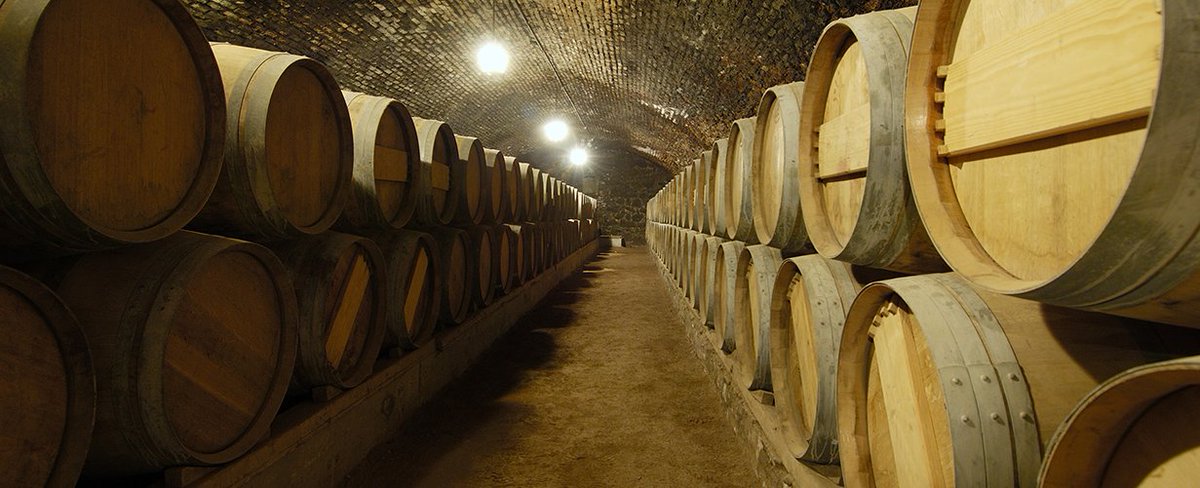 ElMercurioMC's tweet photo. Chile se posiciona entre los vinos más vendidos en el Reino Unido 🍷🇨🇱https://t.co/Olg0RqzA6U https://t.co/8e98CaKcwS