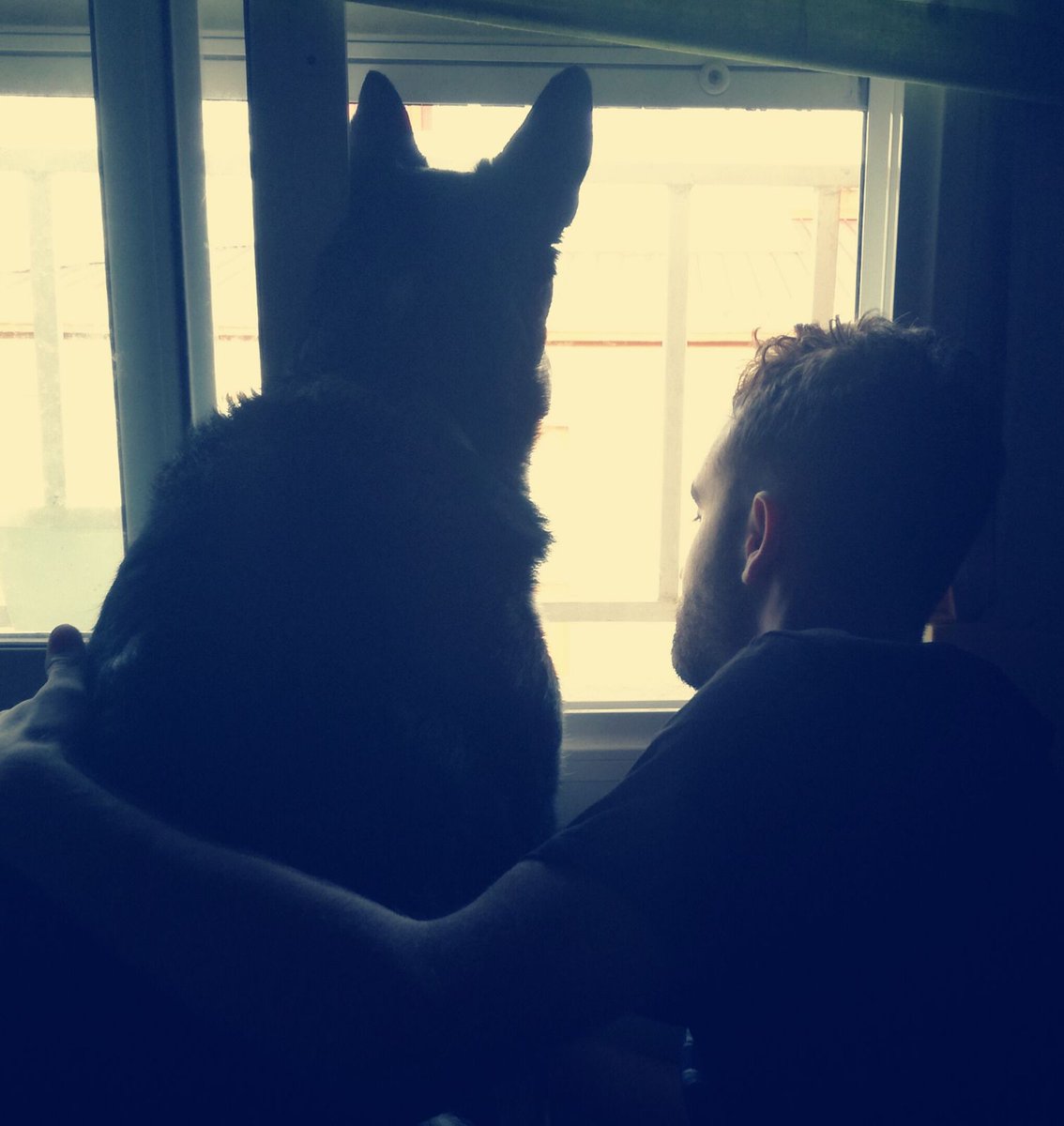 Mi mejor compañero de viaje😊😊

#perros #amigosperros #compañeros #familia