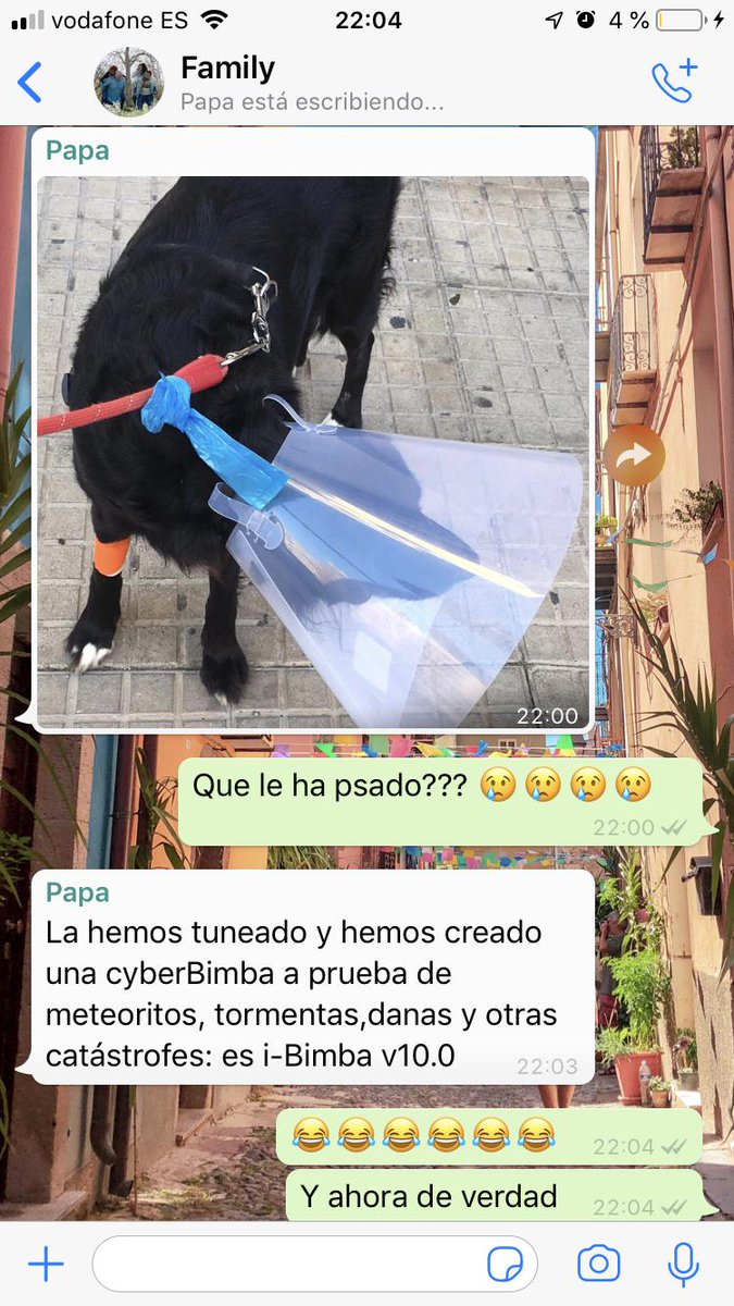 sandra_morant's tweet photo. [2/3]Mi respuesta, preocupada por mi hermana perruna ha sido preguntar que qué le había pasado a lo que mi padre me ha contestado con esto 🤦🏻‍♀️ https://t.co/EHF6BGgXXT